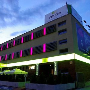 Hotel Gaudio